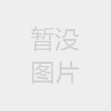中国汽车行业的快速发展